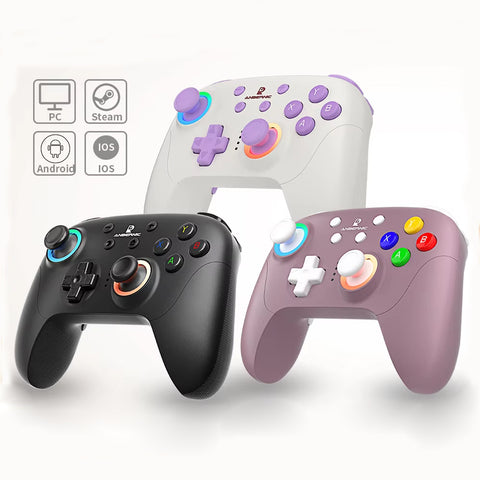 ANBERNIC RG P01 Controller