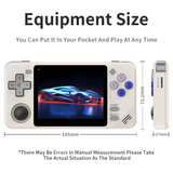 POWKIDDY RGB10X Handheld