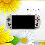 Trimui Smart Pro Console
